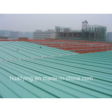 Steel Structure Roofing / Space Frame Roofing/ Space Frame Canopy